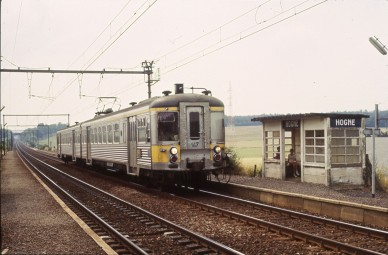 147 - Hogne - RM018-037 (1).jpg